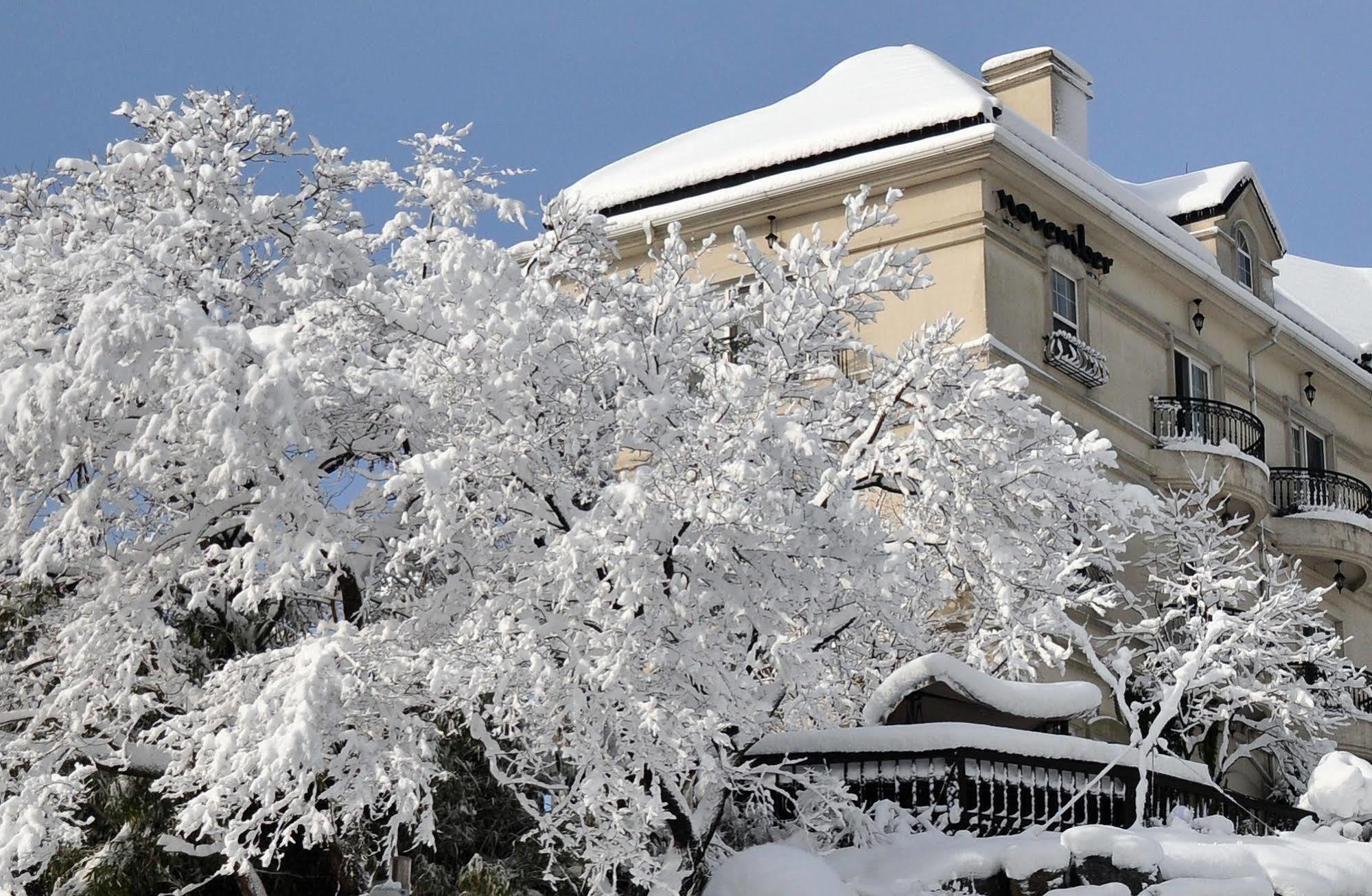 Hotel November Каннын Экстерьер фото